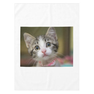 A cute kitten with green eyes tablecloth