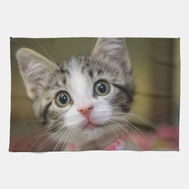 A cute kitten with green eyes tea towel (Horizontal)