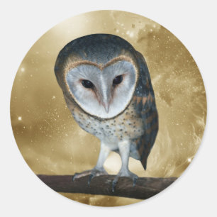 A Cute little Barn Owl Fantasy Classic Round Sticker