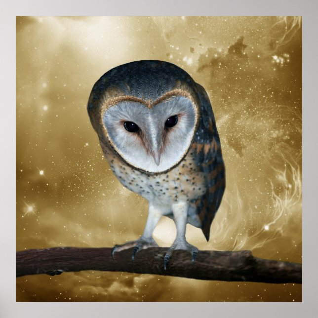 A Cute little Barn Owl Fantasy Poster (Front)