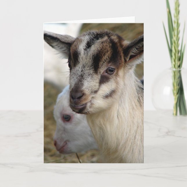 A Cute Little Billy Kid Card (Front)