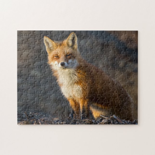 A Cute Little Fox Jigsaw Puzzle (Horizontal)