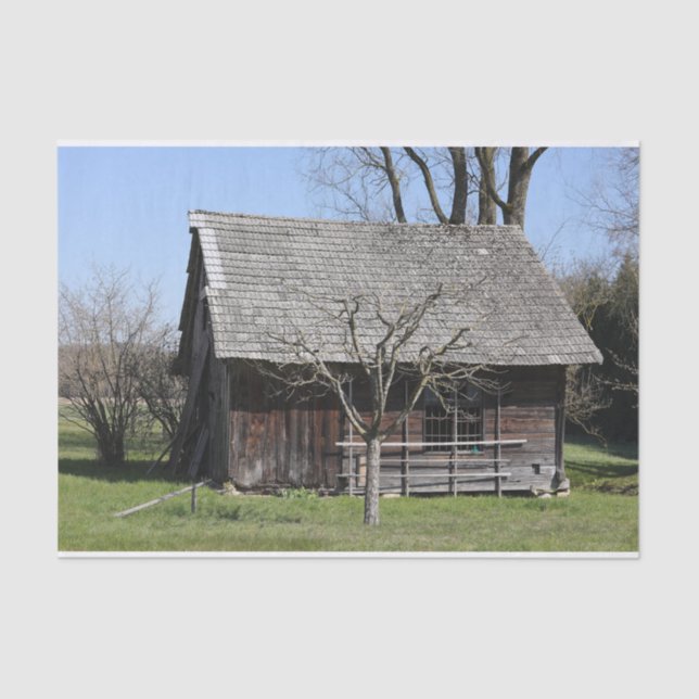A Cute Little Tree Stands Next to a Run-Down Cabin Tissue Paper (Front)