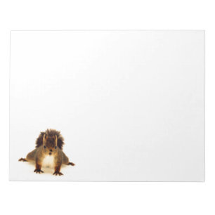 A cute nosy red squirrel in snow notepad