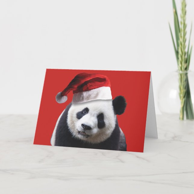 A Cute Panda Bear Wearing a Santa Claus Hat Holiday Card (Front)