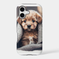 A Cute Puppy On A Cold Winter 