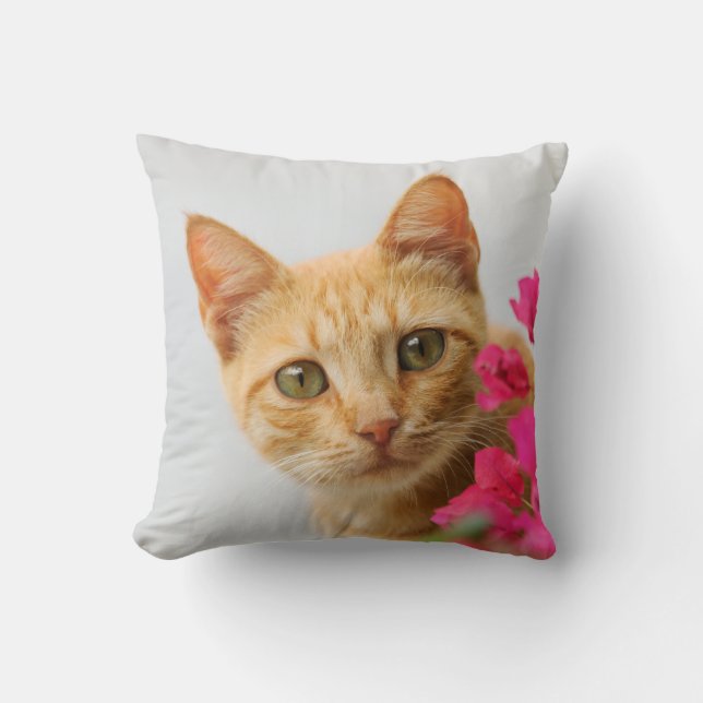 A cute red tabby kitten is watching you. cushion (Front)