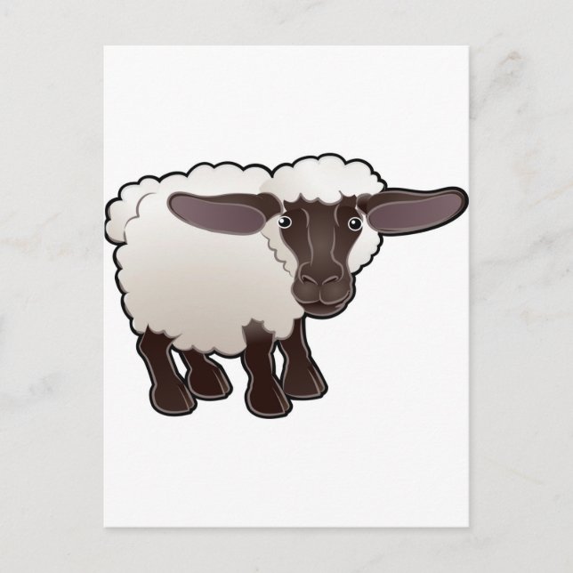 A cute sheep farm animal postcard (Front)