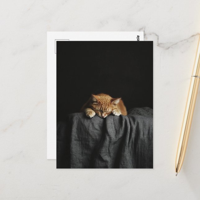 A Cute Sleepy Ginger Kitty on black Postcard (Front/Back In Situ)