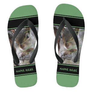 A Cute Squirrel With Peanut Woodland Nature Rodent Jandals