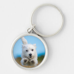 A Cute West Highland Terrier Puppy Running Key Ring