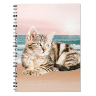 A Cuter Striped Cat Sitting on Beach with sunset Spiral Notebook