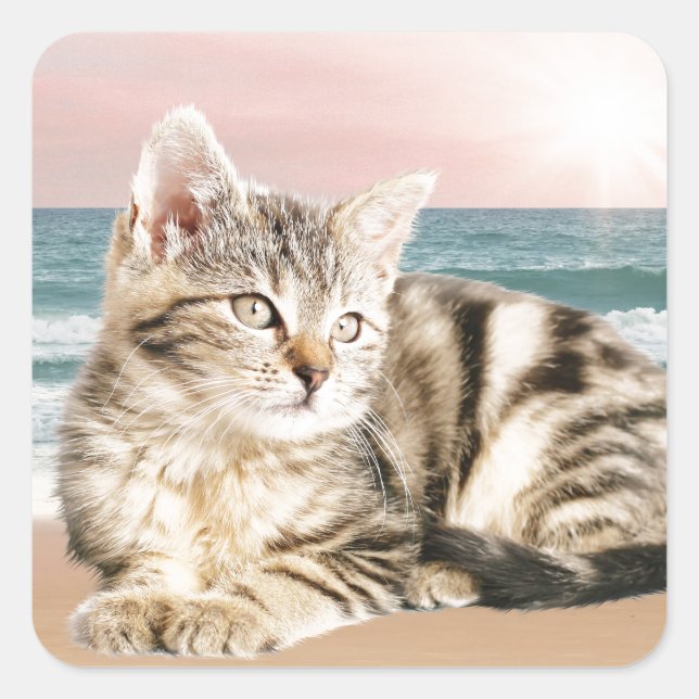 A Cuter Striped Cat Sitting on Beach with sunset Square Sticker (Front)