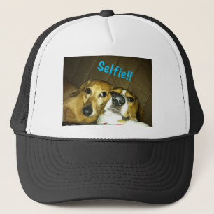 A dachshund and a beagle taking a selfie trucker hat