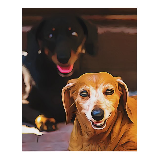 A Dachshund Hot During The Summer Heatwave Poster (Front)