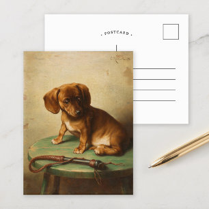 A Dachshund Puppy   Carl Reichert Postcard