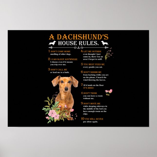 A Dachshund's House Rules Poster (Front)