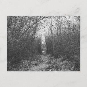 "A DARK ROAD AHEAD" POSTCARD