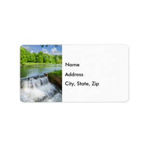 A Day At Ritter Springs Label