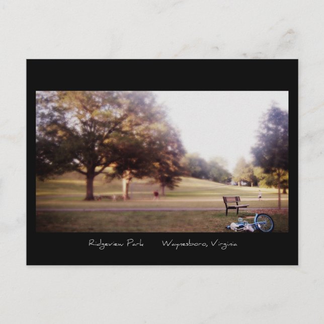 A Day at the Park - Postcard (Front)