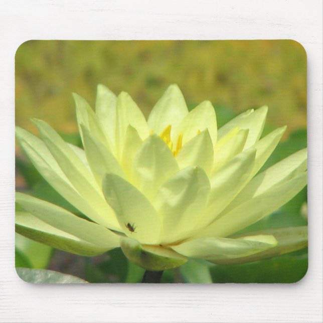 A Day at the Pond Series Mouse Pad (Front)