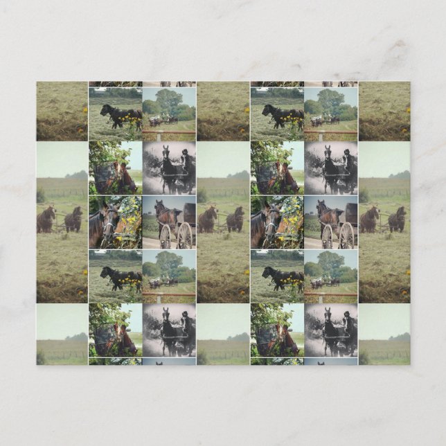 A Day in Kalona, Iowa Postcard (Front)