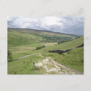 A Day in the Yorkshire Dales collection Postcard