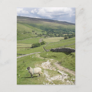 A Day in the Yorkshire Dales collection Postcard