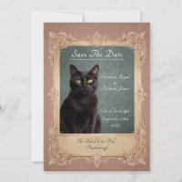 A Day to Remember Black Cat