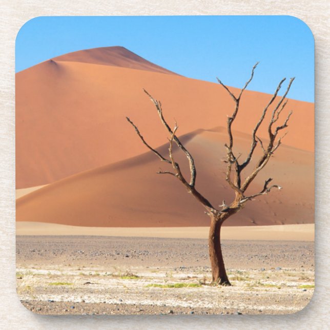 A dead tree on a desert plain with dunes coaster (Front)