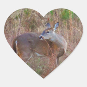 A Deer in the Tall Grass Heart Sticker