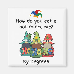 A Degree of Amusement Mince Pie Joke Magnet