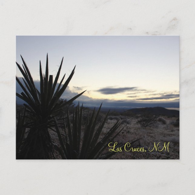 A Desert Dusting Postcard (Front)