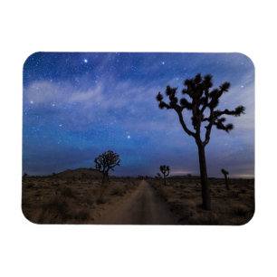 A Desert Road and Joshua Trees at Night Magnet