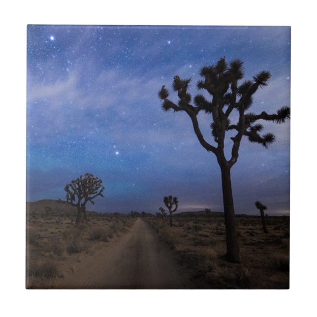 A Desert Road and Joshua Trees at Night Tile (Front)