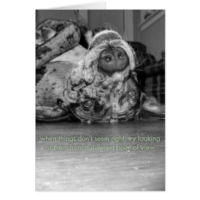 A Different Point of View (Front)