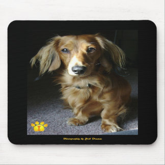 A Distinguished Dachshund Mousepad