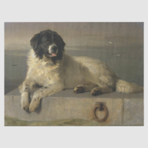 "A Distinguished Member of the Humane Society" Tissue Paper