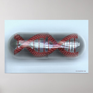 A DNA strand in a capsule Poster