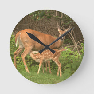 A doe and her fawn round clock