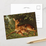 A Doe with Fawn | Carl Schweninger, Jr. Postcard<br><div class="desc">A Doe with Fawn | Carl Schweninger, Jr.’s A Doe with Fawn is a tender and peaceful painting portraying a mother deer and her baby resting together in a shady hollow in the woods. The soft light filtering through the trees highlights the delicate details of their fur and the lush...</div>