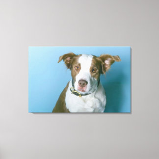 A dog canvas print
