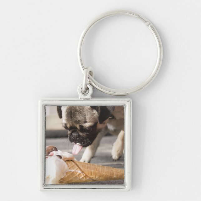 A dog eating an ice cream from a pavement key ring (Front)