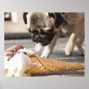 A dog eating an ice cream from a pavement poster