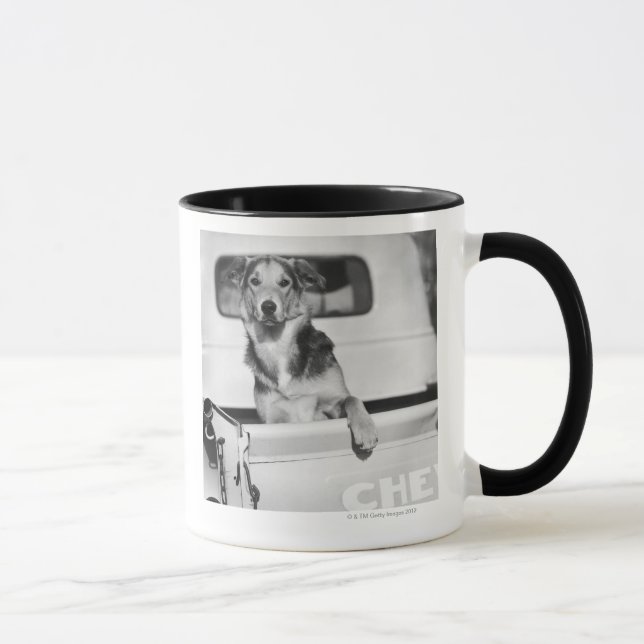 A dog in a car. mug (Right)