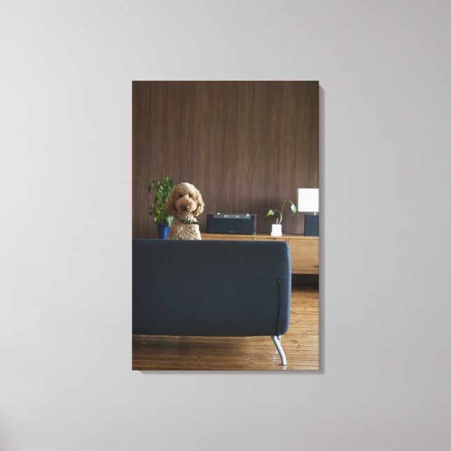 A dog in the riving room canvas print (Front)