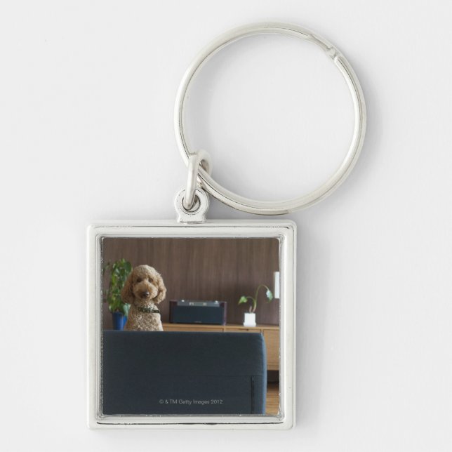 A dog in the riving room key ring (Front)