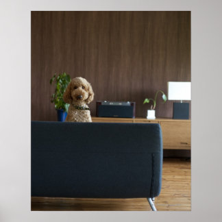 A dog in the riving room poster