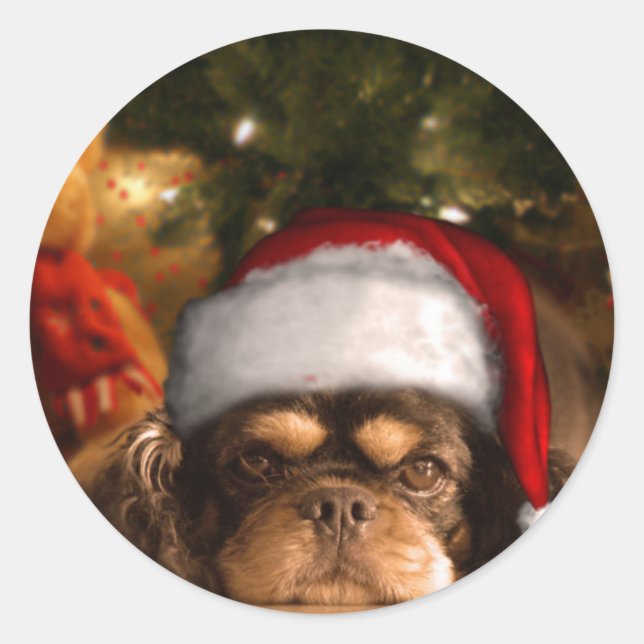 A Dog Is For Life Not Just For Christmas Classic Round Sticker (Front)