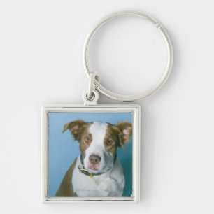 A dog key ring